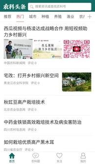 头条资讯时间排序,最新热点事件回顾