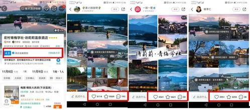 安徽网红打卡项目名称,揭秘热门项目的魅力瞬间