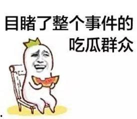 吃瓜群众686,一场全民参与的娱乐盛宴
