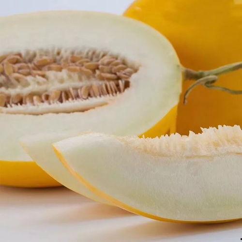 羊脂蜜瓜怎么吃,尽享夏日甜蜜滋味