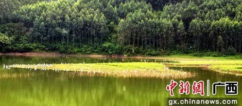 贺州华山水库头条,碧波荡漾，生态宜居新画卷