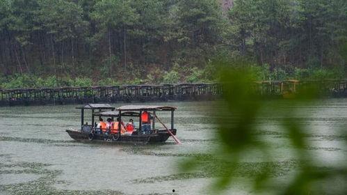 凭栏听雨大型吃瓜,大型吃瓜现场揭秘