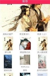 有韩国网红的小说,韩国网红的奇幻爱情之旅