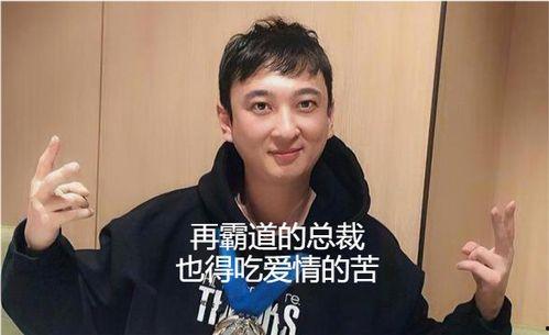 圈内吃瓜王思聪,娱乐圈的“吃瓜王”