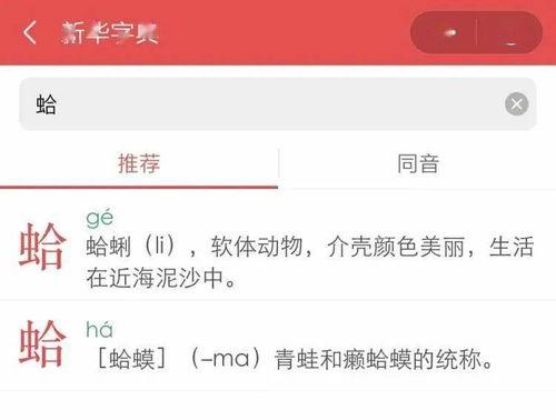 网红的下句,揭秘网络红人的崛起与影响力