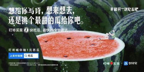 火锅吃瓜文案,畅享美味与欢乐时光