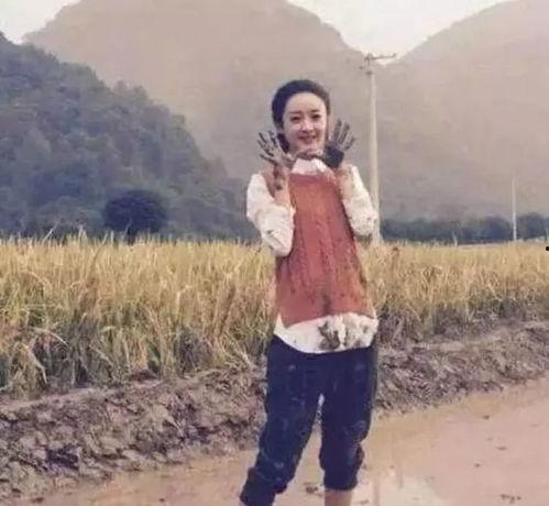 广东明星接地气,广东明星的接地气魅力